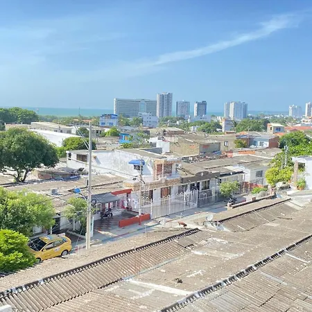 Palmas Cartagena
